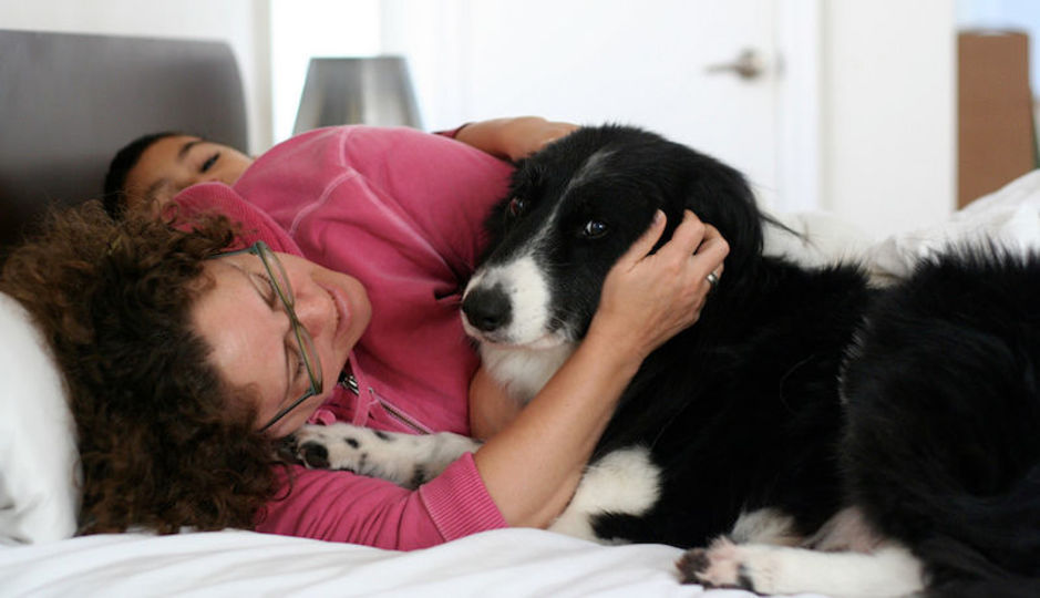 「犬が嫌がっている」のを見分ける方法